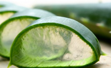 Čudežna in zdravilna aloe vera
