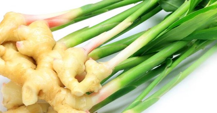 Štirje razlogi, zakaj ingver ne sme manjkati v vaši prehrani