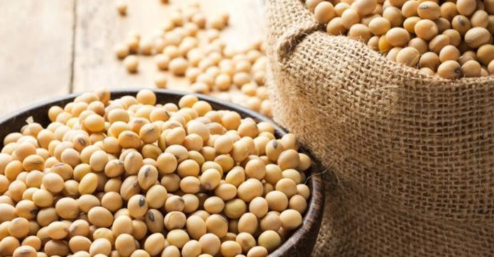 Je sojin lecitin nevaren za zdravje?